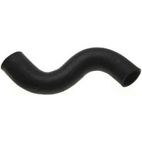Lower Molded Co (B)