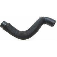 Lower Molded Co (A)