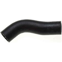 Lower Molded Co (B)