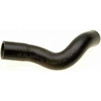 Lower Molded Co (B)