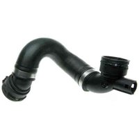 Lower Molded Co (PARITY)