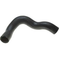 Lower Molded Co (B)