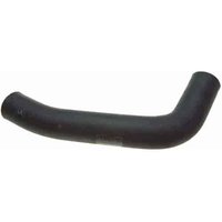 22096M Lower Radiator Hose