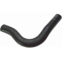 Lower Molded Co (B)