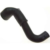 Lower Molded Co (B)