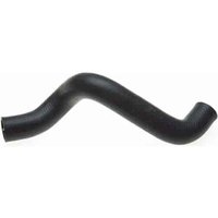 Lower Molded Co (B)