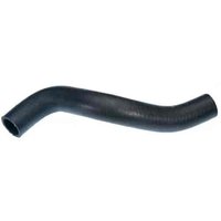 Lower Molded Co (B)