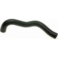 Lower Molded Co (B)