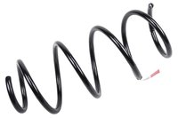 SPRINGFRT COIL (B)