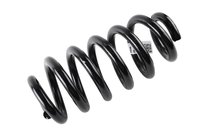 SPRING-RR COIL (B)