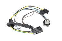 Headlight Wirin (P1)