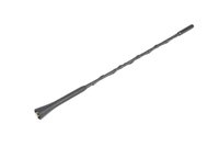 Radio Antenna (A)