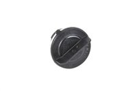 Headlamp Socket (P1)
