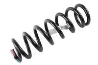 SPRING-FRT COIL (B)