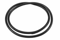 SEAL-A/TRNS CAS (SLP-1)