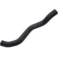 Lower Molded Co (B)