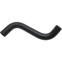 Lower Molded Co (B)