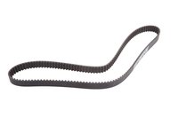 Timing Belt (SLP-P1)