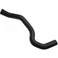 Lower Molded Co (B)