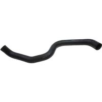 Lower Molded Co (B)