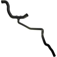 Lower Molded Co (B)