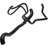 Lower Molded Co (B)