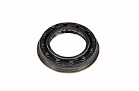 Rear Axle Shaft (SLP)