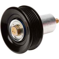 Idler Pulley wi (B)
