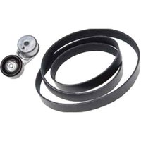 Timing Belt Kit (B)