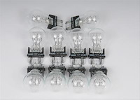 Multi-Purpose Light Bulb