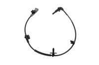 Rear Driver Sid (SLP-1)
