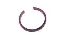 RING-FRT WHL DR (SLP-1)