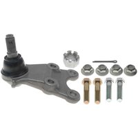 Front Lower Sus (B)