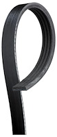 BELTFAN (B)