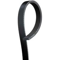 V-Ribbed Serpen (PARITY)