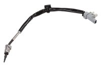 SENSOR ASM-EGR (SLP-1)