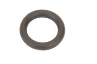 Dipstick Seal (SLP-P1)