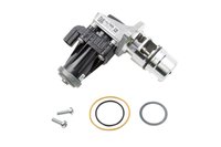 VALVE KIT-EGR (SLP-1)