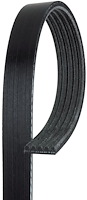 V-Ribbed Serpen (PARITY)