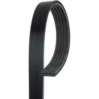 V-Ribbed Serpen (B)