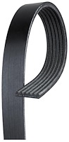 V-Ribbed Serpen (A)