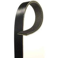 V-Ribbed Serpen (B)