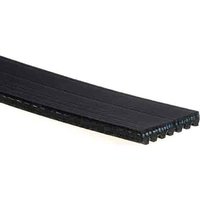 V-Ribbed Serpen (A)