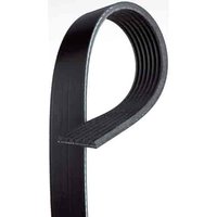 V-Ribbed Serpen (A)