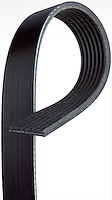 BELTSERPENTINE ACDELCO AL