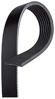 V-Ribbed Serpen (B)
