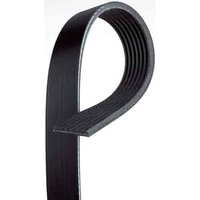 V-Ribbed Serpen (A)
