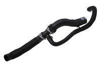 HOSE-RAD OTLT (PARITY)