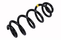 SPRING-RR COIL (B)