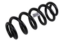 SPRING-RR COIL (A)